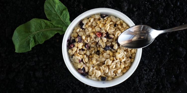 PURIS plant protein granola