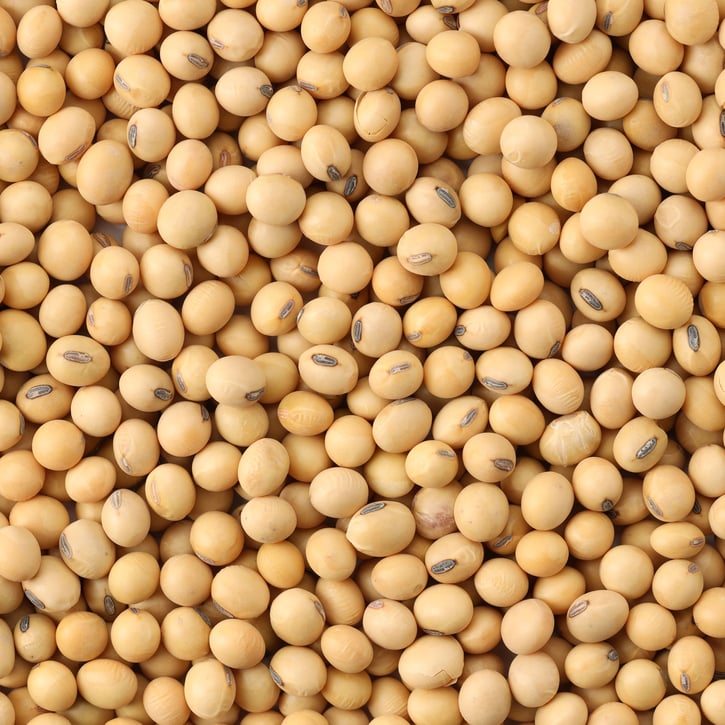 soybean-seeds-cluster