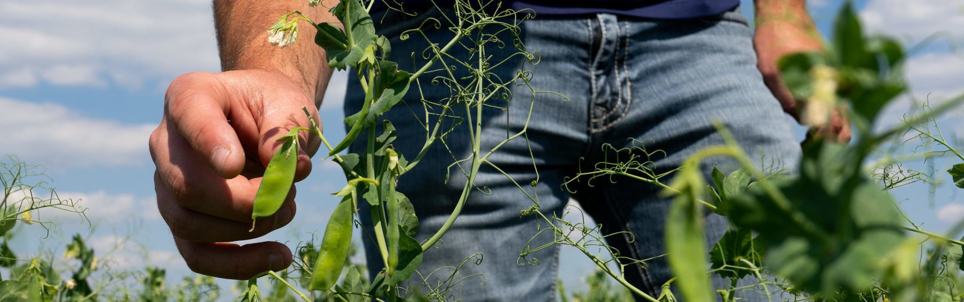 Addressing Sustainability in the Food Industry