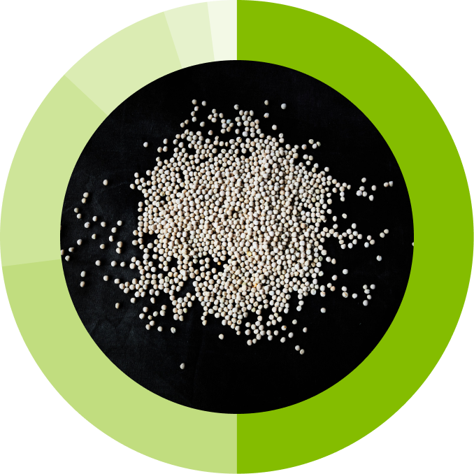 Plant protein's makeup