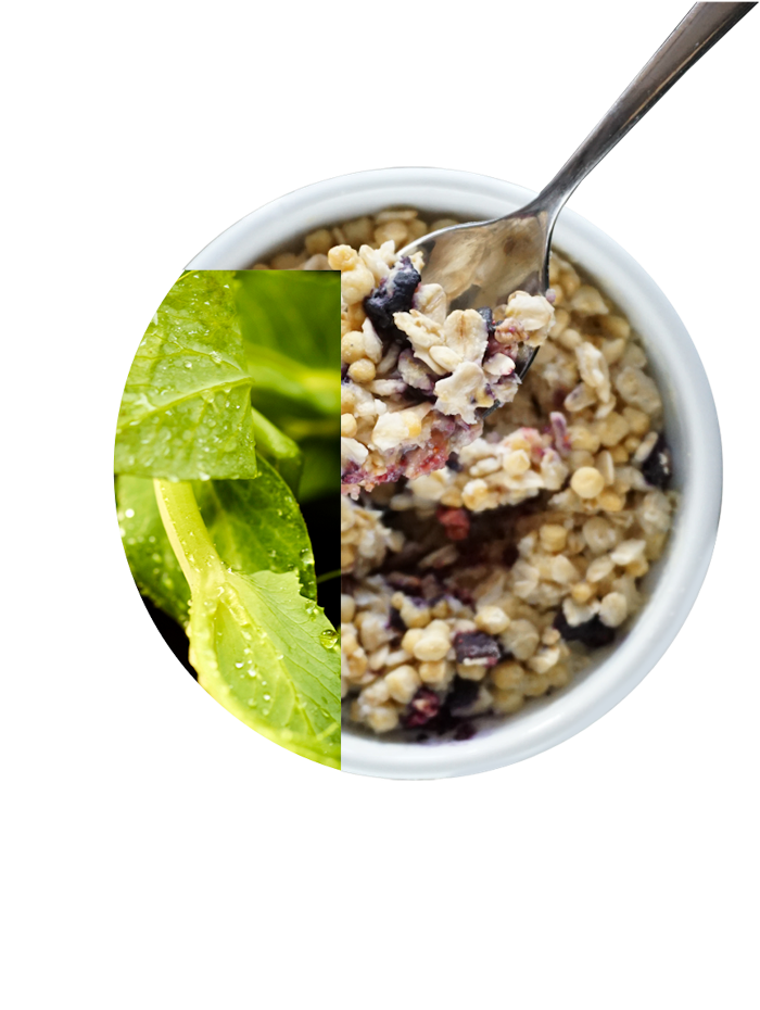 Extruded Pea Protein