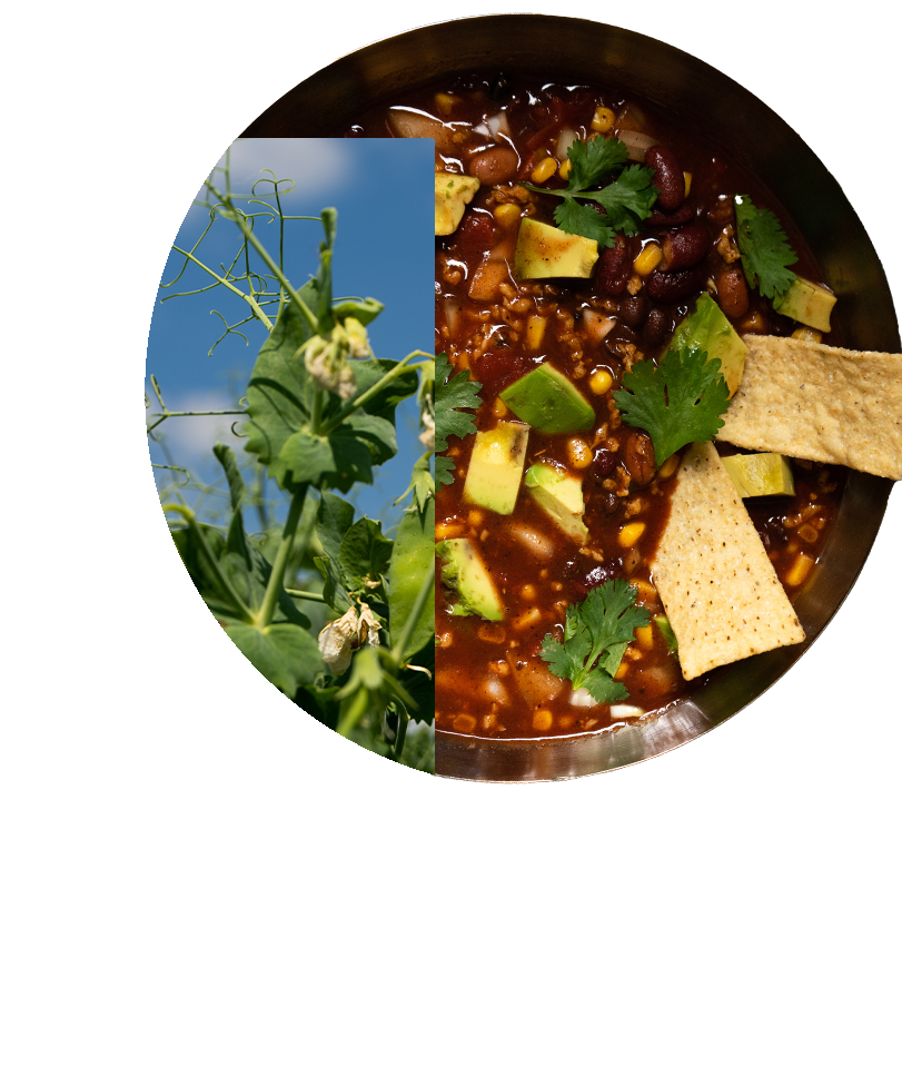 Plant-based protein soup