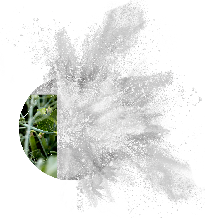 PURIS pre-gel pea starch